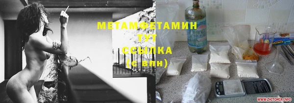 индика Инсар