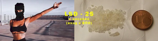 индика Инсар