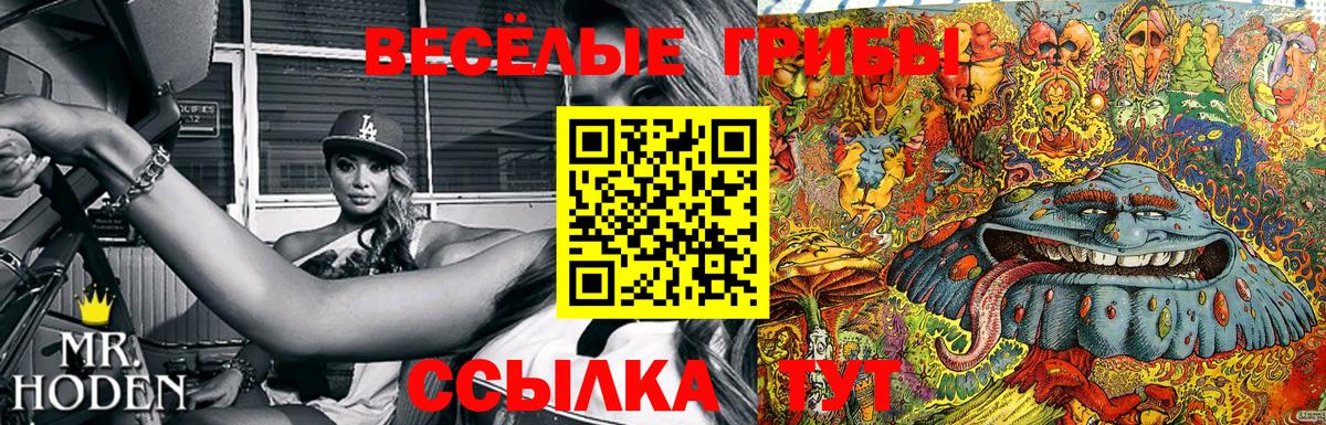 МЕФ кристаллы  АМФЕТАМИН кристаллы  Карталы  Alpha PVP СК   ГАШ  Кокаин  Канабис  Вход с VPN  НБОМе 