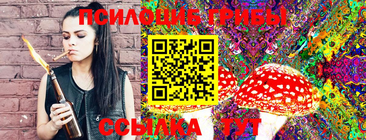 Галлюциногенные грибы Psilocybine cubensis Карталы