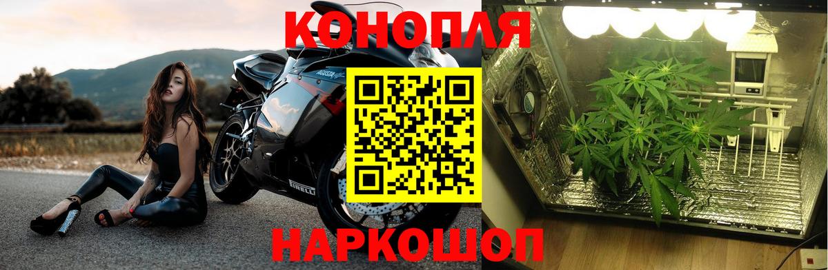 Марихуана Ganja  Конопля AK-47  Вход с VPN  Карталы  Каннабис SATIVA & INDICA 